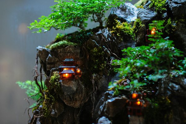 les nouveautés dans le domaine des soins de la peau et des produits de beauté naturels