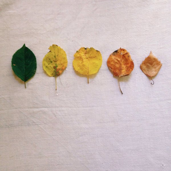 les actualités liées à l'évolution des réseaux sociaux et du numérique