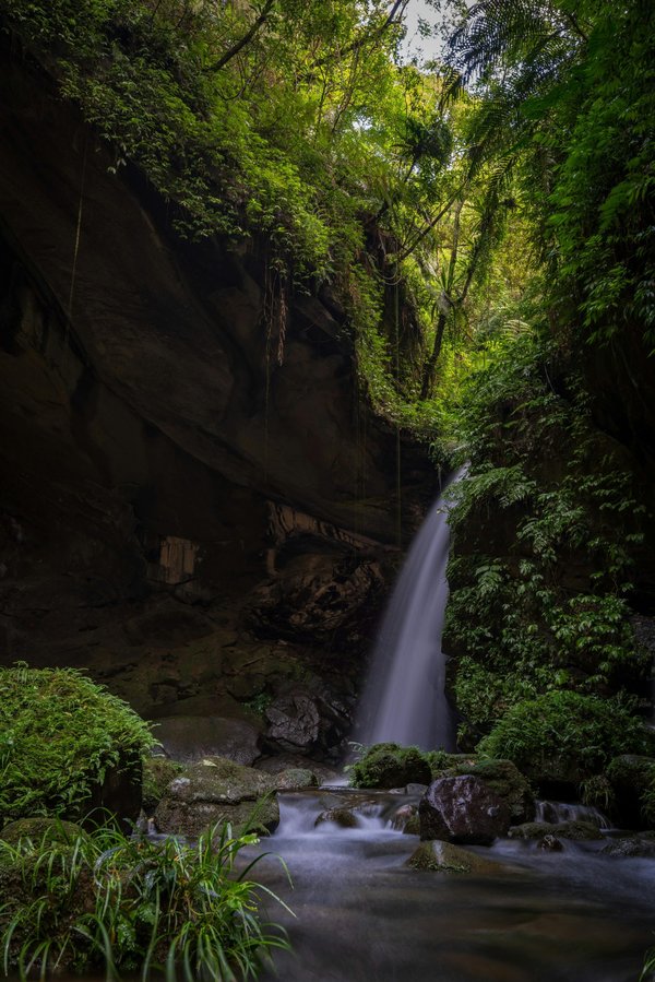 Photo ecologie : des avis clients sur un service exceptionnel